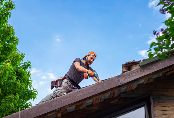 Best Flat Roofing  in Ladd, IL